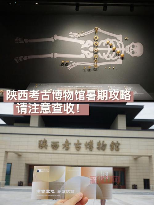 考古学怎么冲?碎片利用与文物辨识技巧大全