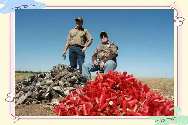 霰弹枪揭秘:结构、射击与弹丸选择详解 霰弹枪揭秘:结构、射击与弹丸选择详解