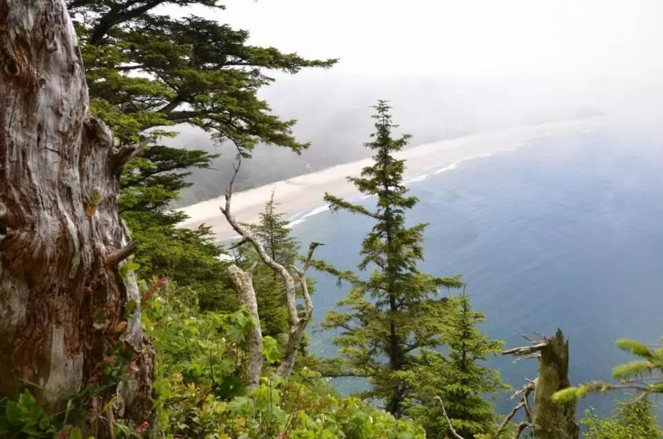 俄勒冈之旅美国开拓者_俄勒冈海岸线最佳小镇_俄勒冈海岸线隐秘景点