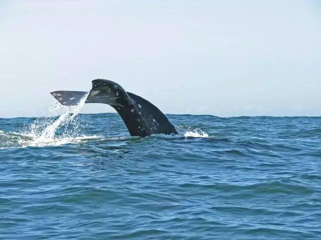 俄勒冈海岸线最佳小镇_俄勒冈海岸线隐秘景点_俄勒冈之旅美国开拓者