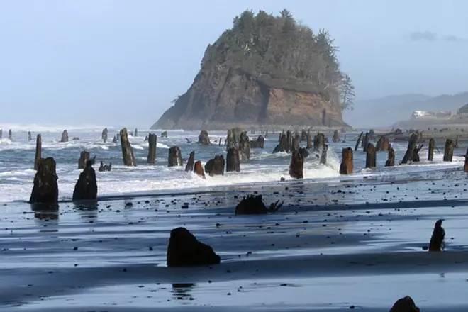 俄勒冈之旅美国开拓者_俄勒冈海岸线隐秘景点_俄勒冈海岸线最佳小镇
