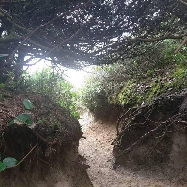 俄勒冈海岸线最佳小镇_俄勒冈之旅美国开拓者_俄勒冈海岸线隐秘景点