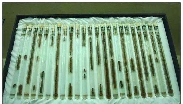 秦始皇为什么不能挖_秦始皇陵保护技术_秦始皇陵为什么没有挖掘