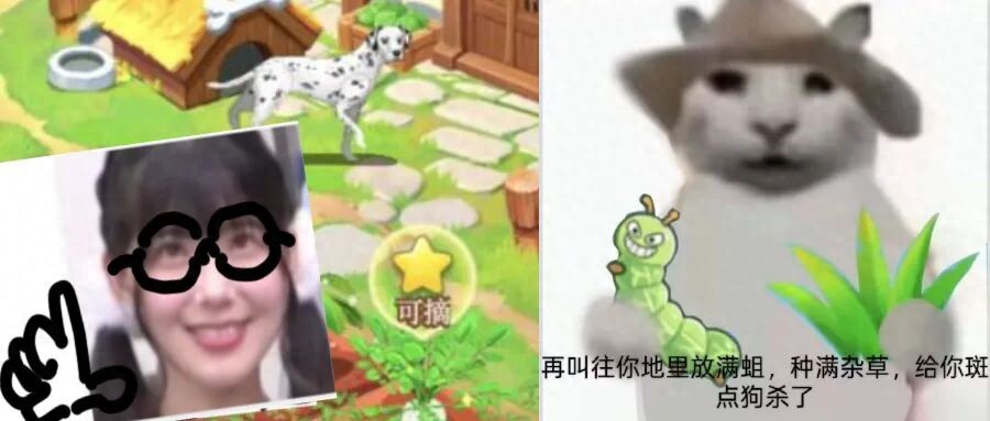 半夜12点在QQ农场互相“扔蛆”，成了时下最火爆的PvP对抗游戏…