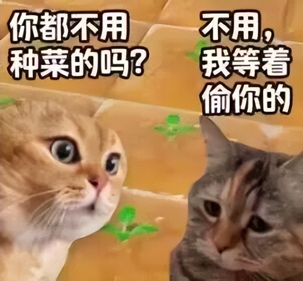 QQ经典农场种田游戏_QQ农场小程序删档测试_360下载的开心农场怎么玩