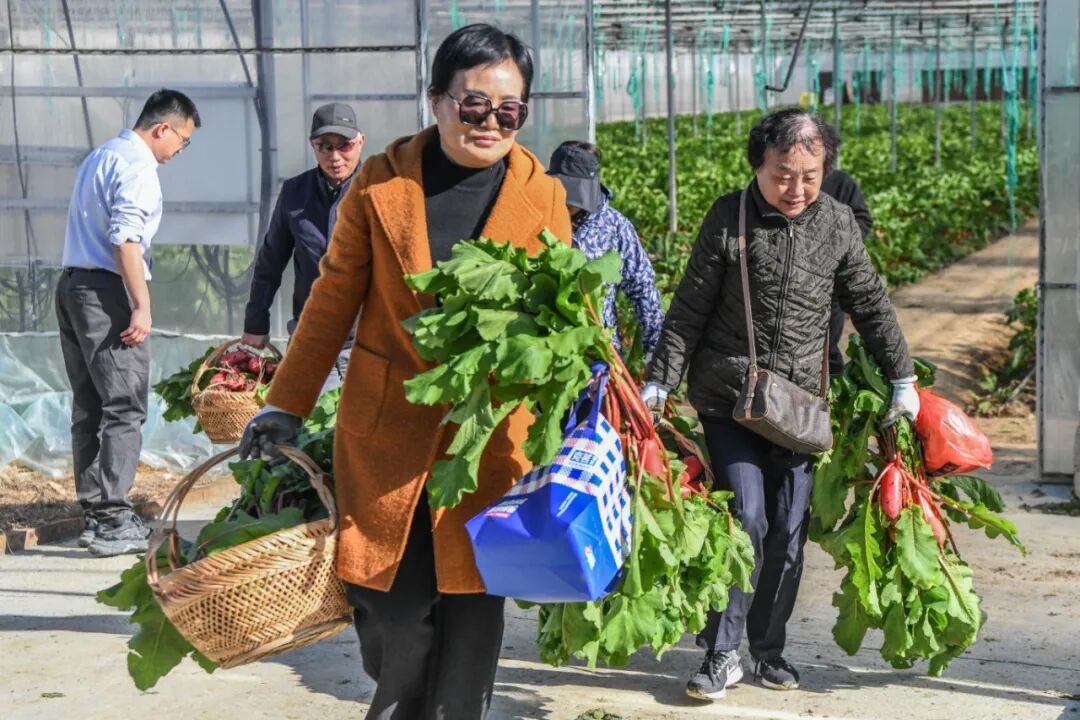 高淳共享菜地_360下载的开心农场怎么玩_都市农人体验