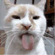 游戏神回复_搞笑游戏新闻_穿越火线破解图片