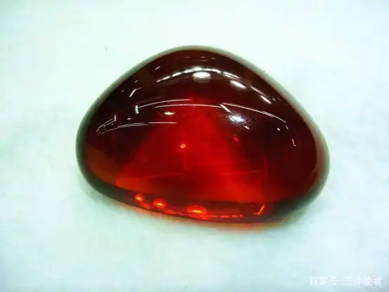 澳大利亚琥珀发现_琥珀形成条件_从琥珀发现的远古琥珀