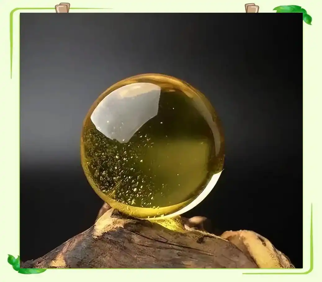 琥珀中的古生物化石_从琥珀发现的远古琥珀_琥珀形成过程