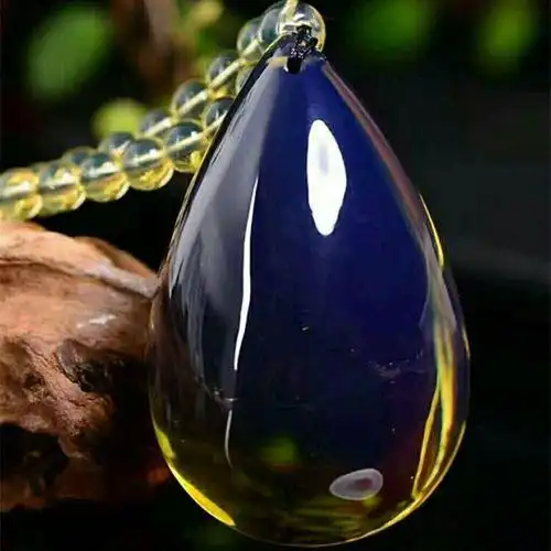 琥珀形成过程_琥珀中的古生物化石_从琥珀发现的远古琥珀