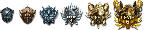 VIP等级