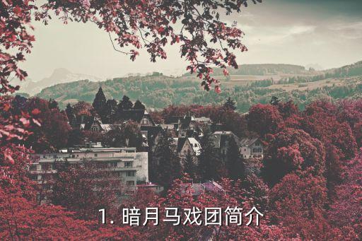 1. 暗月马戏团简介