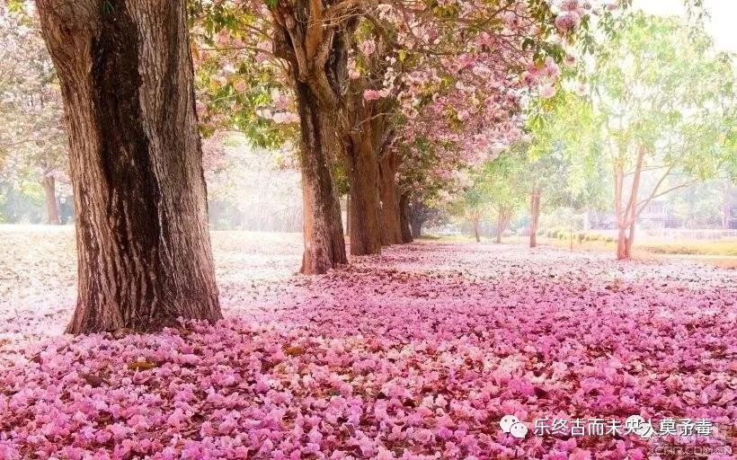 陶渊明 桃花源记 田园诗人_taohuayuanji