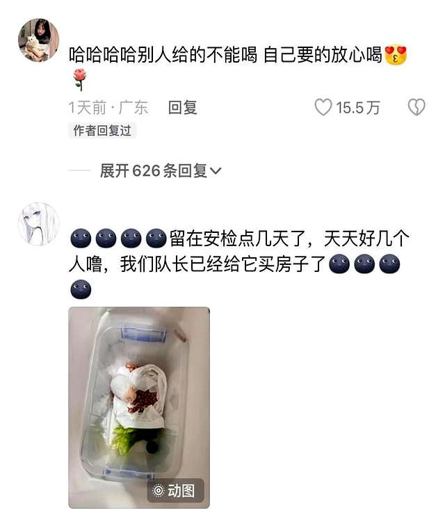 机场安检奇葩经历分享_飞机场安检不能带什么_过不了安检的指甲油乌龟小零食最后都去哪儿了