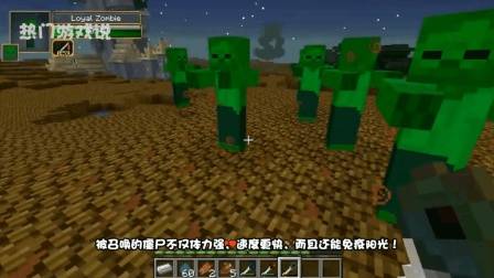 我的世界: 盘点MC中最为神秘的三个神器! 网友: 你做过召唤师吗?