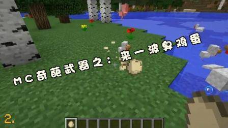 我的世界: 盘点几样MC中的奇葩武器, 玩家: 丢鸡蛋你会吗?