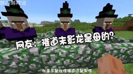 我的世界: 盘点MC中的女性生物! 网友: 难道末影龙是母的?