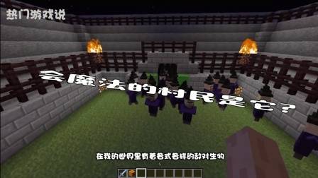 我的世界: 会魔法的村民是它? 玩家: 女巫只是变种人!