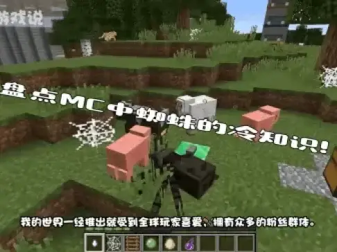 我的世界: 蜘蛛拥有堪称BUG的特性! 萌新: 不愧是元老级的最爱!