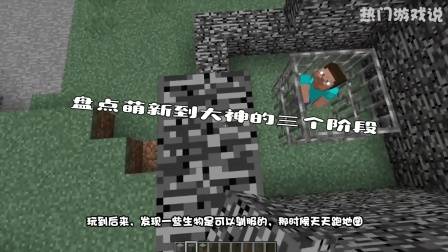 我的世界: 盘点萌新到大神的三个阶段! 网友: 你是大神了吗?