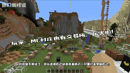 我的世界: 村民变屠夫? 玩家: MC村庄也有交易所, 厉害啦!