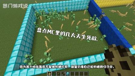 我的世界: 盘点MC里的几大天生死敌, 最后一对冤家路窄!