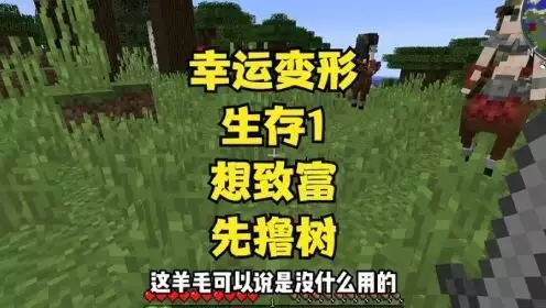 我的世界村民致富攻略_我的世界级的附魔台_我的世界村民收割计划