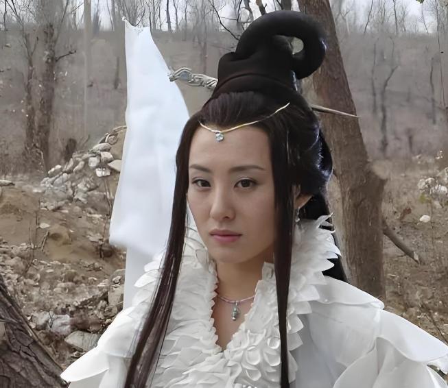 西游记张纪中版七仙女_86版西游记菩提祖师形象_张纪中版西游记菩提祖师造型争议