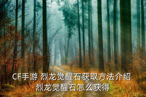 CF手游 烈龙觉醒石获取方法介绍 烈龙觉醒石怎么获得