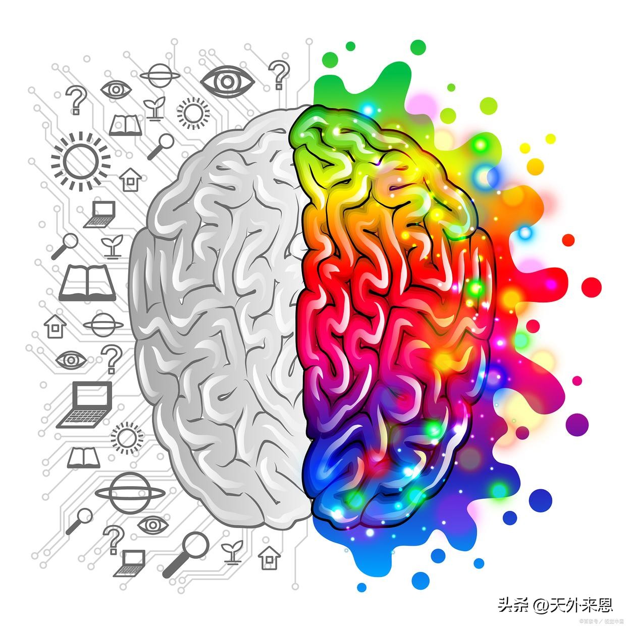 右脑及左脑_胼胝体连接作用_左脑右脑功能区别