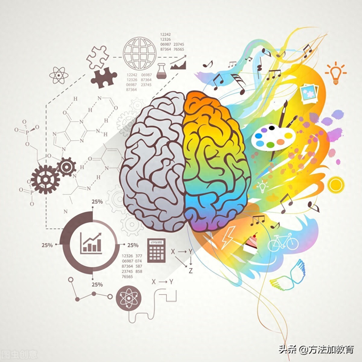 方法加教学总监江燕老师谈：正确认识左右脑