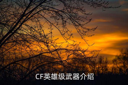 CF英雄级武器介绍
