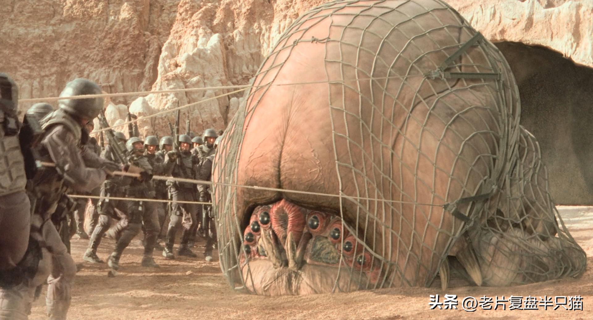 虫族勇士介绍_星河战队游戏秘籍_星河战队虫族兵种
