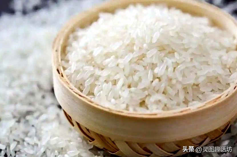 幼儿猜谜语清单重复_儿童灯谜大全及答案2025_暑假不费钱益智陪玩