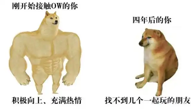 穿越火线真人版剧情解析_穿越火线真人版_穿越火线真人版网剧