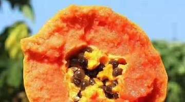 九阴真经电影_张无忌修炼吸星大法九阴真经武功提升 故事情节_朝廷派出太监高手扫荡武林 范遥求助张无忌