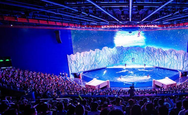 珠海长隆海洋王国白鲸剧场图片