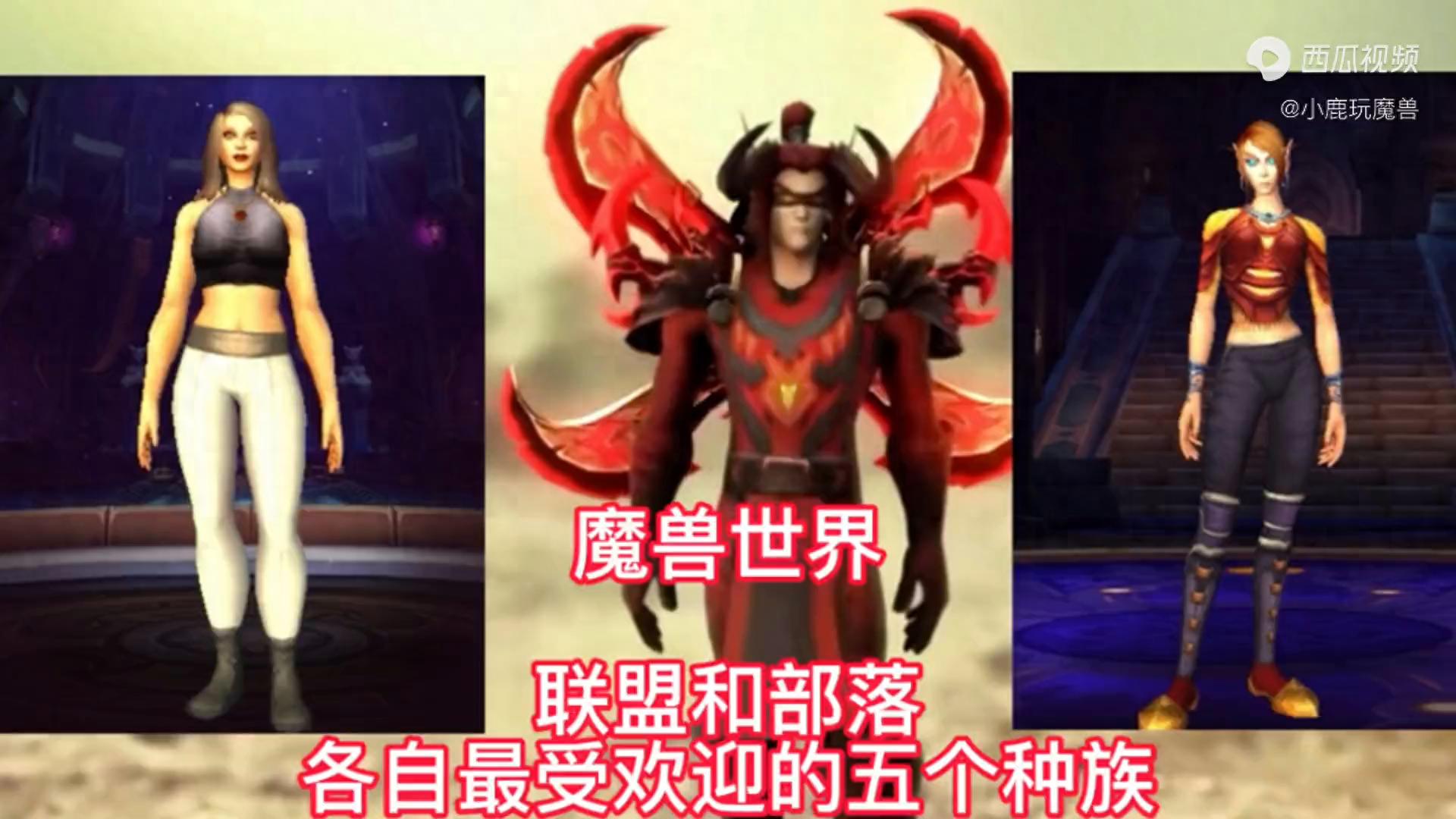 魔兽世界：联盟和部落各自最受欢迎的五个种族点赞者暴富