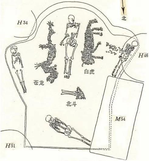 龙的形象起源_龙之传奇_龙的形象主要来源于什么