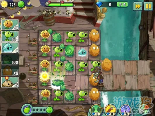 植物大战僵尸2海盗港湾第6天攻略15