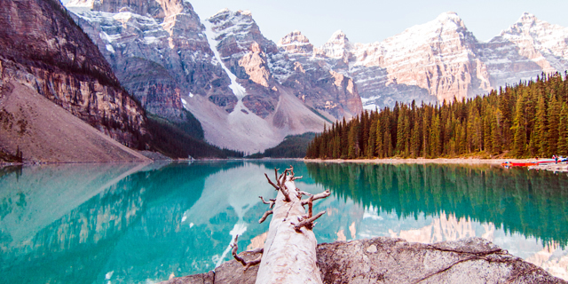 穿越火线视频下载(穿越火线视频下载观看)插图