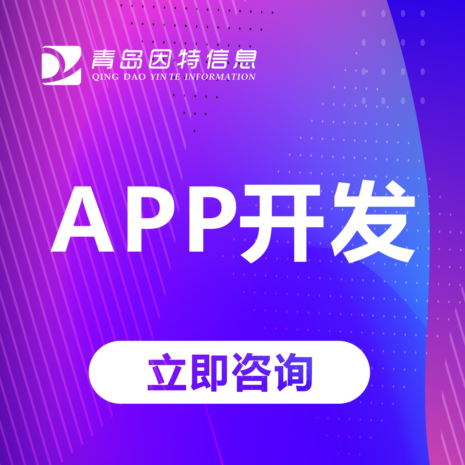 东营社区团购小程序 本地靠谱服务商找因特