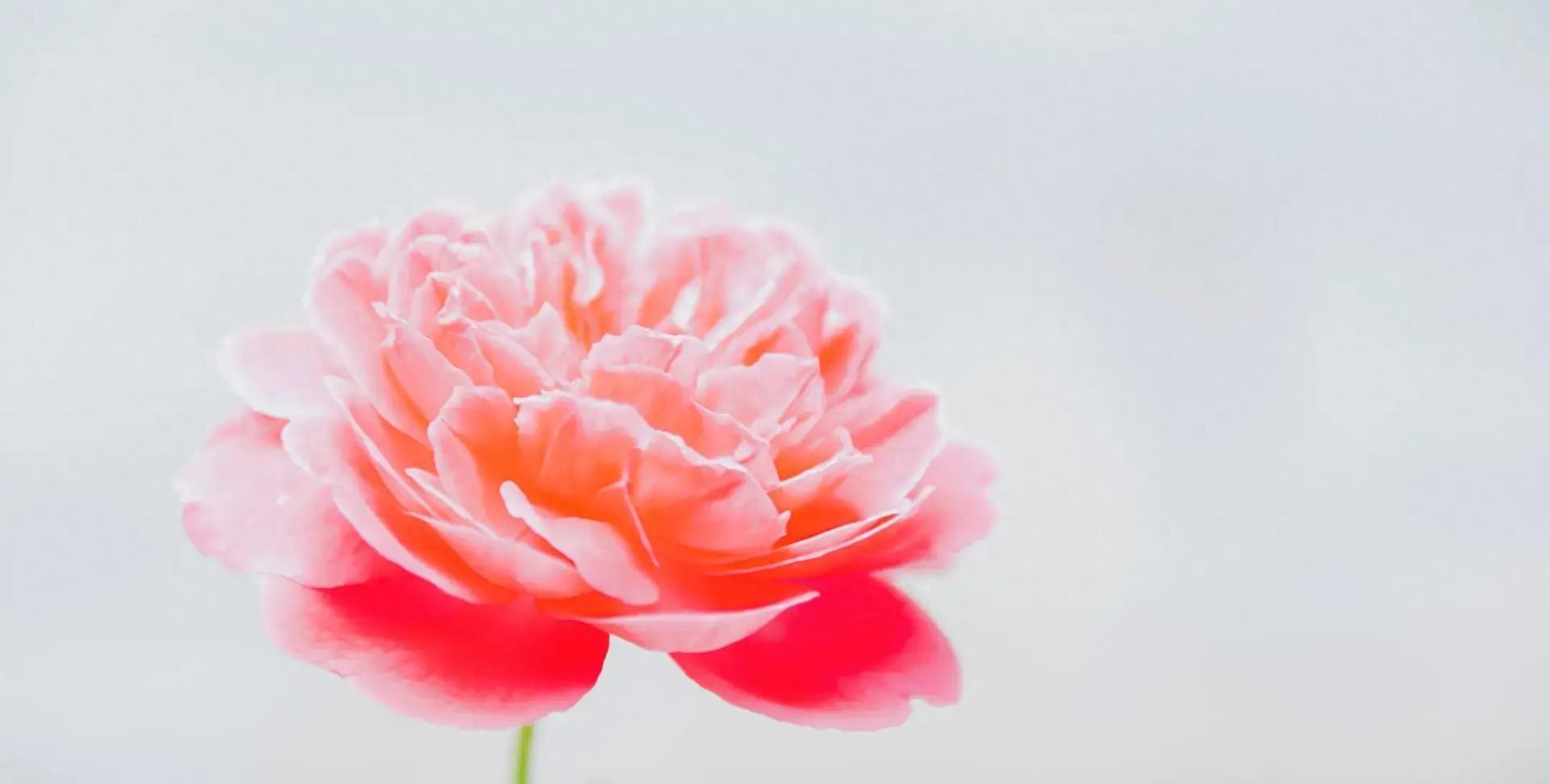 第三名：摩羯座，12月25号，接下来4天，就要喜从天降了！