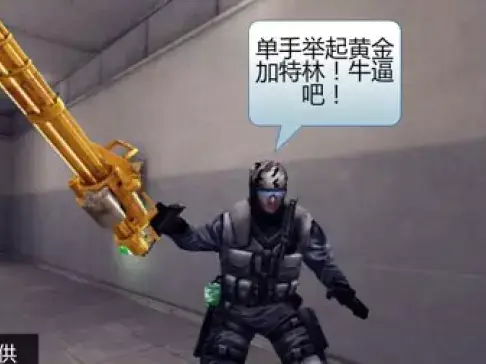 《穿越火线珍藏趣图精选》：第77集