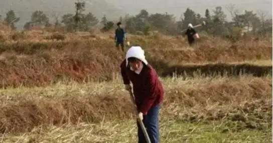 河北男子拿不出100万手术费,回家自己锯掉双腿,12年过去怎样了