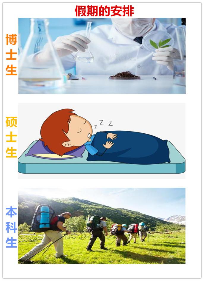 看这14张图，就能懂得博士、硕士和本科生的区别
