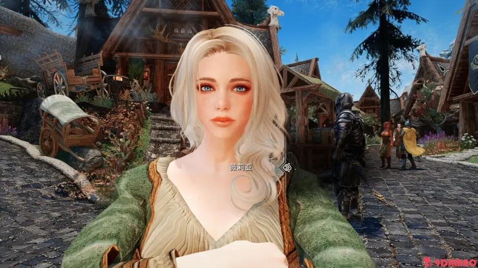 上古卷轴5整合包_上古卷轴osa_上古卷轴5剧情模组