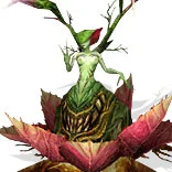 丝路传说 怪物图鉴 等级颜色说明_丝路传说 绿洲王国 怪物分布_丝路传说死亡卡拉