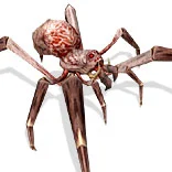 丝路传说 怪物图鉴 等级颜色说明_丝路传说死亡卡拉_丝路传说 绿洲王国 怪物分布