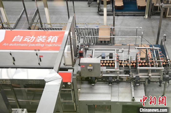 （高质量发展调研行）年产值超250亿元！“酱油一哥”海天的数智化“焕新”路